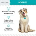 thumbnail image 3 of Suplemento de algas marinas Chew + Heal Labs para perros 473 ml con cuchara, 3 of 8