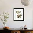 thumbnail image 4 of Audubon: Warbler, 1827-38, Animals Framed Art Print Wall Art by John James Audubon Sold by Art.Com, 4 of 6