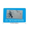 thumbnail image 4 of Glasses Polarizing Test Card, 4 of 6