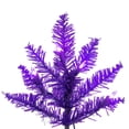 thumbnail image 2 of 2 x 20" Purple Fir DuraLit 50Purple, 2 of 2