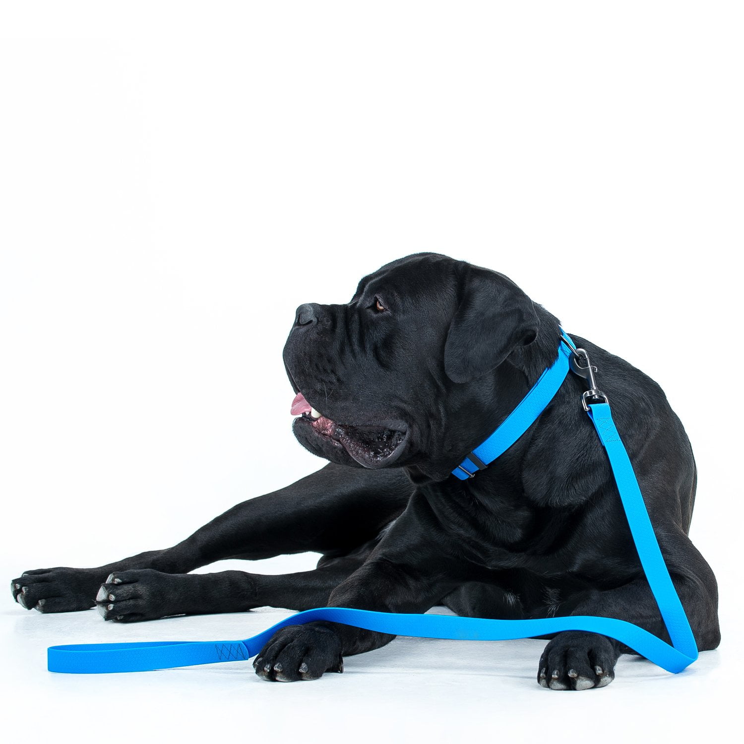 Ultra-Modern Waterproof Dog Leash | Anti-Slip Dog Leash for Large, Small and Medium Dogs | Strong and Durable Leash with Water & Dirt-Resistant | Great for Hiking, Training and Swimming - Blue