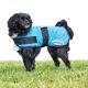 thumbnail image 1 of Weatherbeeta - Abrigo Refrescante para Perros Therapy-Tec (Azul), 1 of 2