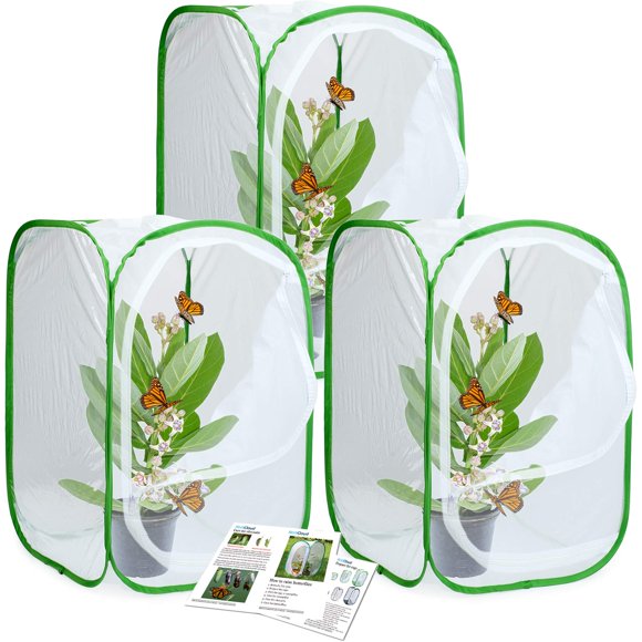 Terrario Butterfly Habitat Jage, paquete de 3 unidades RESTCLOUD