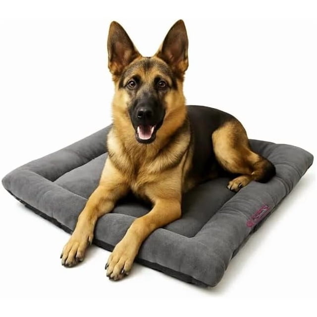 Cama Para Perro Q Perrón Raza Grande Color Gris