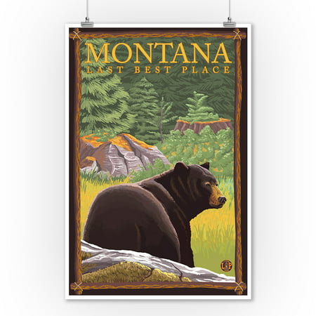 Montana, Last Best Place - Bear in Forest - Lantern Press Artwork (9x12 Art Print, Wall Decor Travel (Best Place To Get Metal Prints)