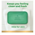 thumbnail image 3 of Irish Spring Savon en Barre, Original Clean (4 oz., 20 ct.), 3 of 7