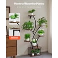 thumbnail image 4 of 62" Tall 8-Tier Plant Stand  3 Timer & 10 Brightness, Metal Shelf for Indoor Plants, 4 of 10