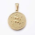 thumbnail image 1 of 1 colgante de Piscis de acero inoxidable 304 chapado en oro de 18 quilates, colgante plano y redondo., 1 of 2