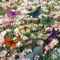 thumbnail image 3 of Berfutall- Feather Butterfly Decorations Set of 12 Vibrant Multi Colored Craft Butterflies on Clip .Party Spring Home Decor Floral Pics…, 3 of 5