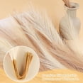 thumbnail image 4 of 30 Pcs Pampas Grass Decor 21.7" Fluffy Faux Short Brown Pampas Grass Artificial Small Pompas Grass Flower Vase Filler for Home Wedding Living Room Wall Party Decoration, 4 of 11