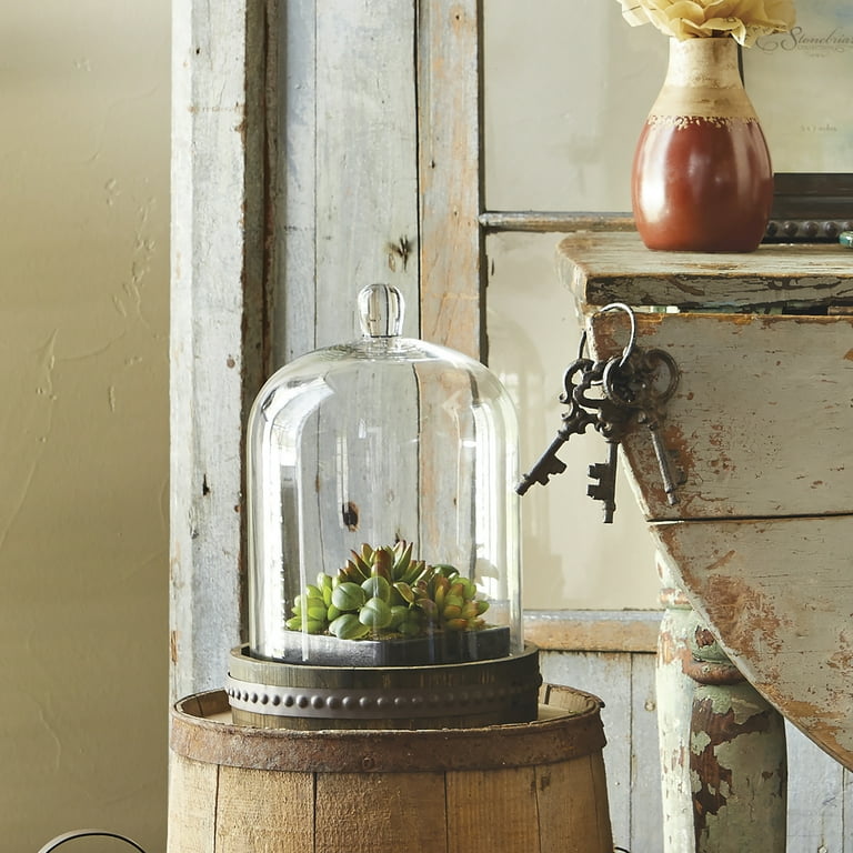 Glass Bell Cloche - Extra Large - Iron Accents