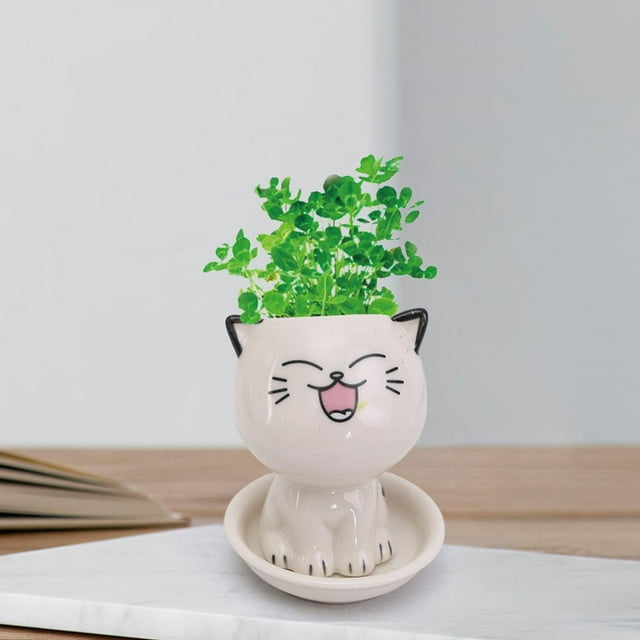 Maceta de dibujos animados, accesorios de macetas de escritorio, maceta, maceta, Estilo C Cola Plantador
