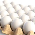 thumbnail image 1 of Huevos de Pascua falsos CALPALMY, 24 piezas, hiperrealistas, blancos, 1 of 6