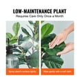 thumbnail image 6 of SKYSHALO 61” Fiddle Leaf Fig Artificial Tree in Mossy Pot, 6 of 9