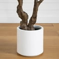 thumbnail image 5 of Nearly Natural 6ft. Artificial Grand Fiddle Leaf Tree in White Decorative Planter, 5 of 8