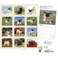thumbnail image 2 of The Beauty of Pugs | 2024 14x24" (Hanging) Wall Calendar | StarGifts, 2 of 8