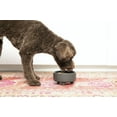 thumbnail image 5 of Waggo Uplift Cuenco De Cerámica Para Perros Para Razas Pequeñas, Medianas Y Grandes, Pesado Y Duradero, Plato De Agua Y Comida Para Mascotas, Apto Para Lavavajillas, Comedero Elevado Moderno (Negro Me, 5 of 5