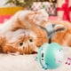 thumbnail image 1 of Juguete Eléctrico para Gatos, Juguete Interactivo, Pelota para Gatos, Pelota para Gatos con Movimiento Automático, Recargable por USB, con 2 Modos de Juguete para Gatos, 1 of 7