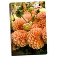 thumbnail image 2 of Gango Home Decor Peach Dalhia II by Maureen Love (Ready to Hang); One 24x36in Hand-Stretched Canvas, 2 of 4