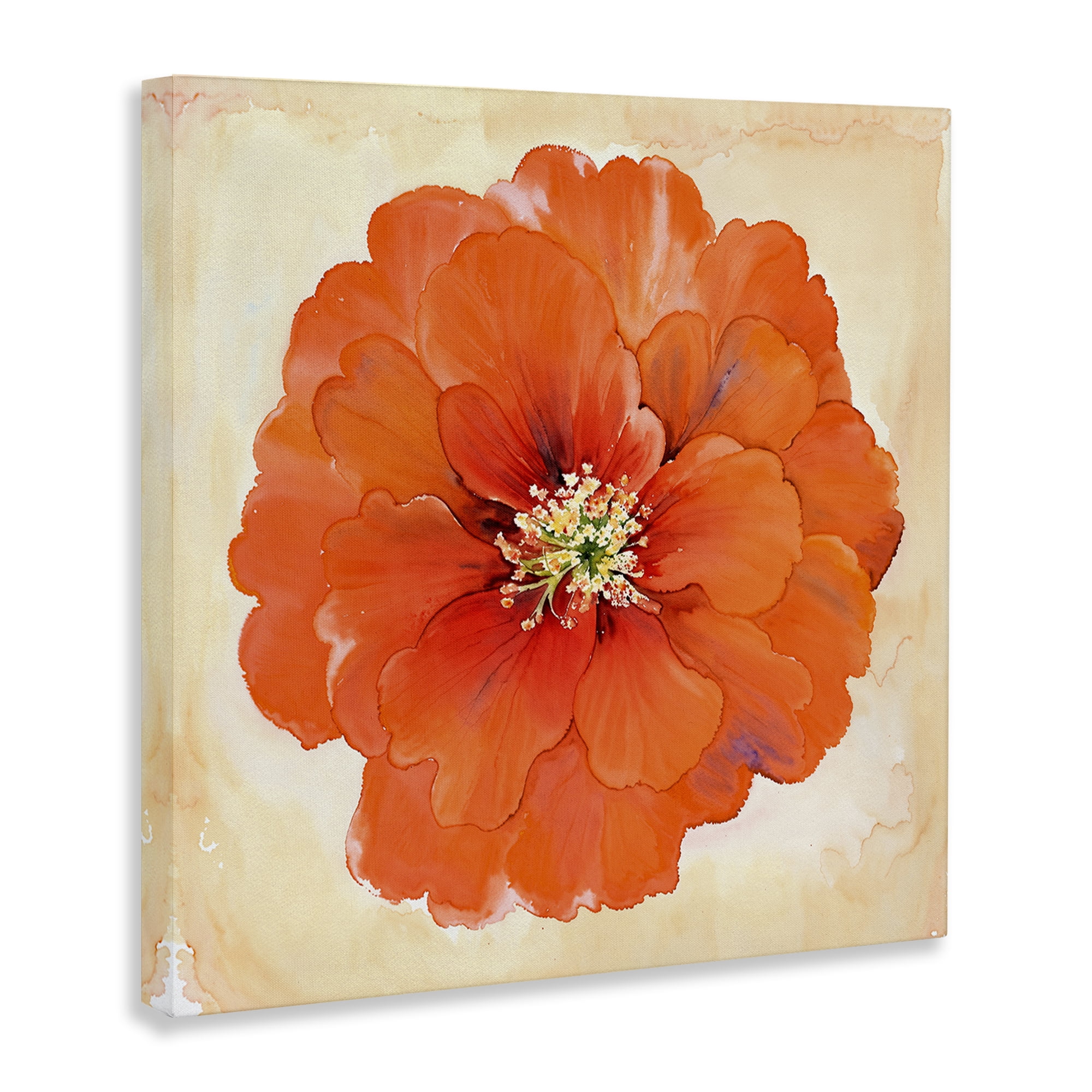 Stupell Industries Mixed Media Flowers Plants & Flowers Painting Wrapped Canvas Art Print Wall Art, 24 x 24