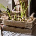 thumbnail image 4 of Solid Wood Crate With Rope Handles, 4 of 8