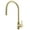Gold, variant on Franke Eos-Pd Eos Neo 1.75 GPM Single Hole Pull Down Kitchen Faucet - Stainless Steel