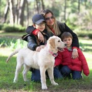 PetJoy Automatic Bark Collar for 3 Dogs,Bark Shock Collar,Anti Barking Collar with Beep&Shock,Bark Collar Adjustable Sensitivity for All Breeds of Dogs