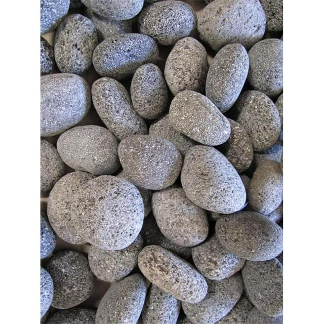 Rain Forest NL20-1030 Cailloux de Lave Noirs de 20 LB