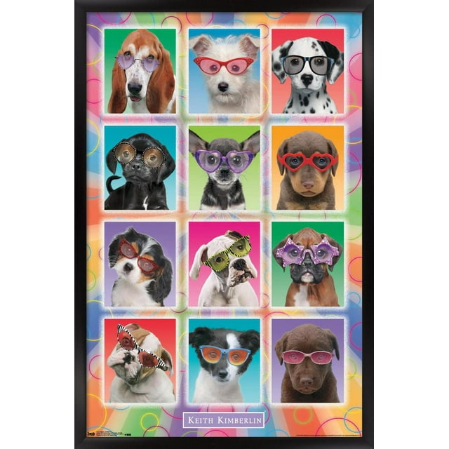 Keith Kimberlin - Chiots - Lunettes de soleil
