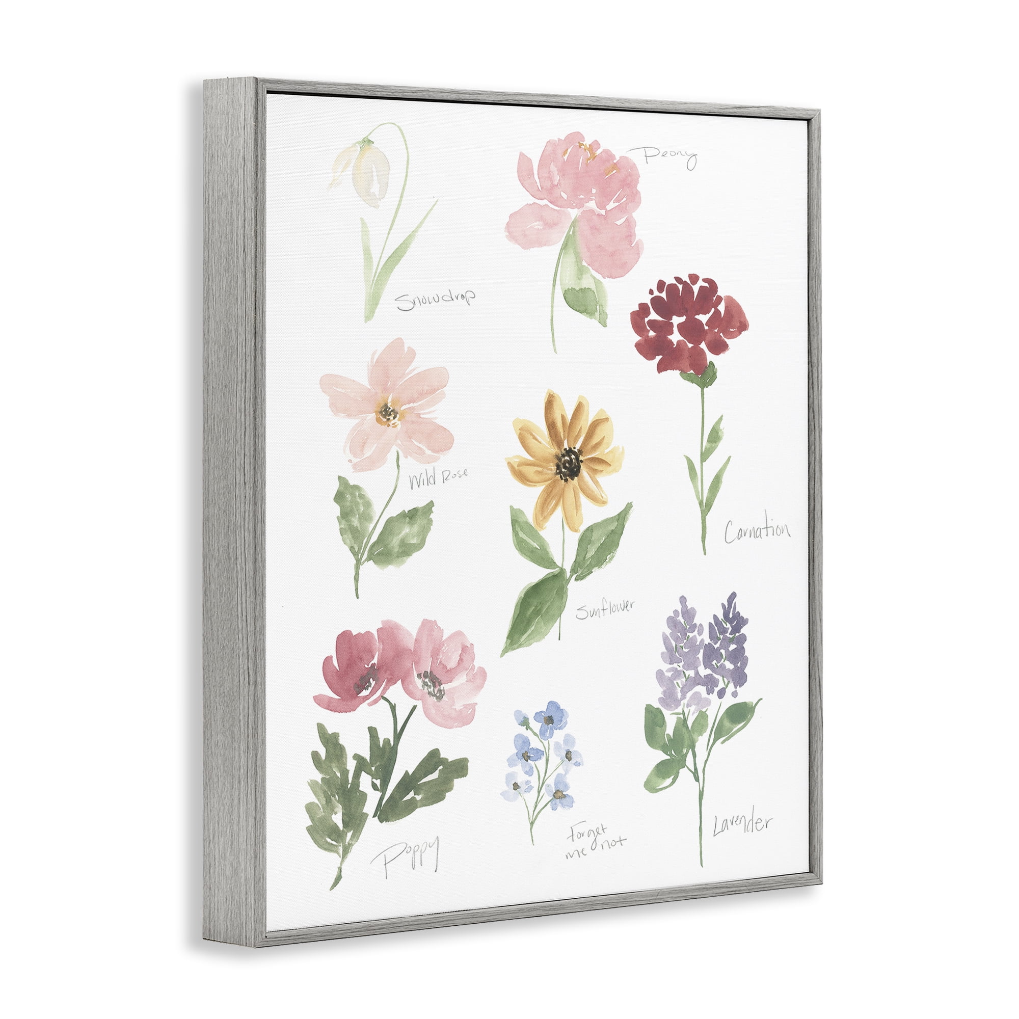 Stupell Industries Labeled Flower Varieties Gray Framed Giclee Art, design by Lucille Price