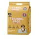 thumbnail image 1 of DOG-O-CHEW. Tapete Entrenador para Perros, 1 of 3