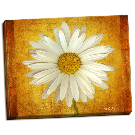 Gango Home Decor Daisy in Gold by Vitaly Geyman (Ready to Hang); One 28x22in Hand-Stretched Canvas