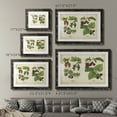 thumbnail image 4 of Kitchen Fruits III-Premium Framed Print - Ready to Hang, 4 of 7