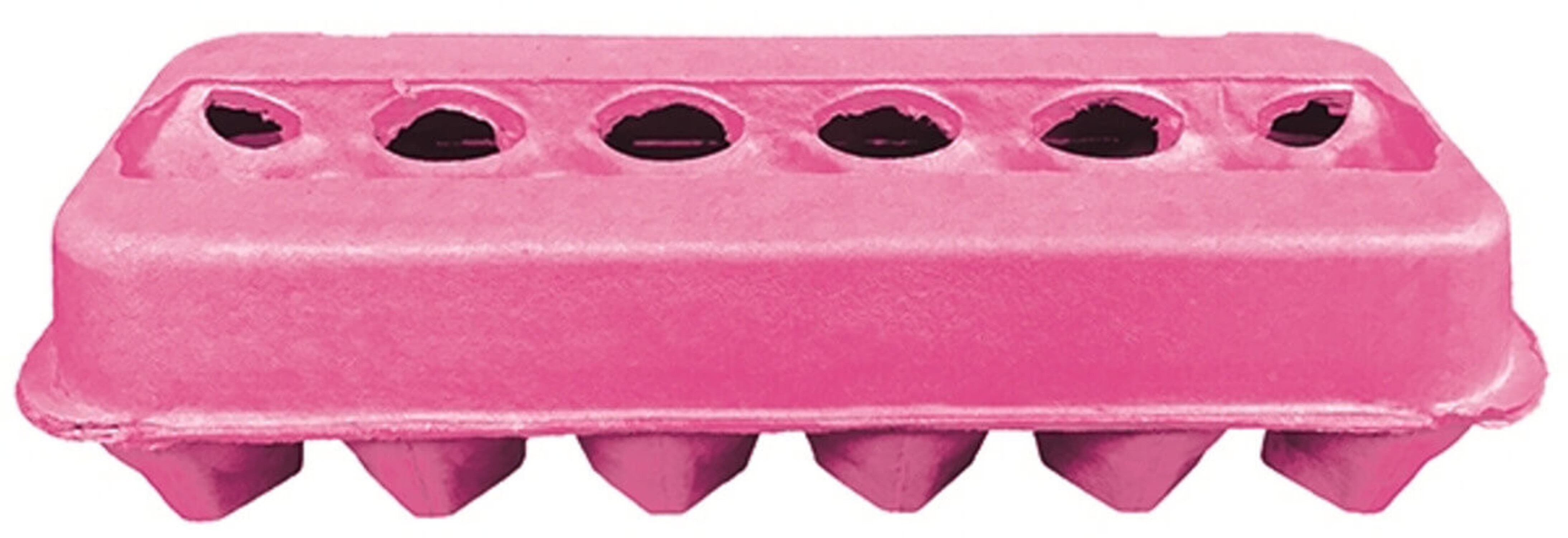 Pink Tint Colored Blank 12-Egg View Top Paper Pulp Carton - 150 Pack