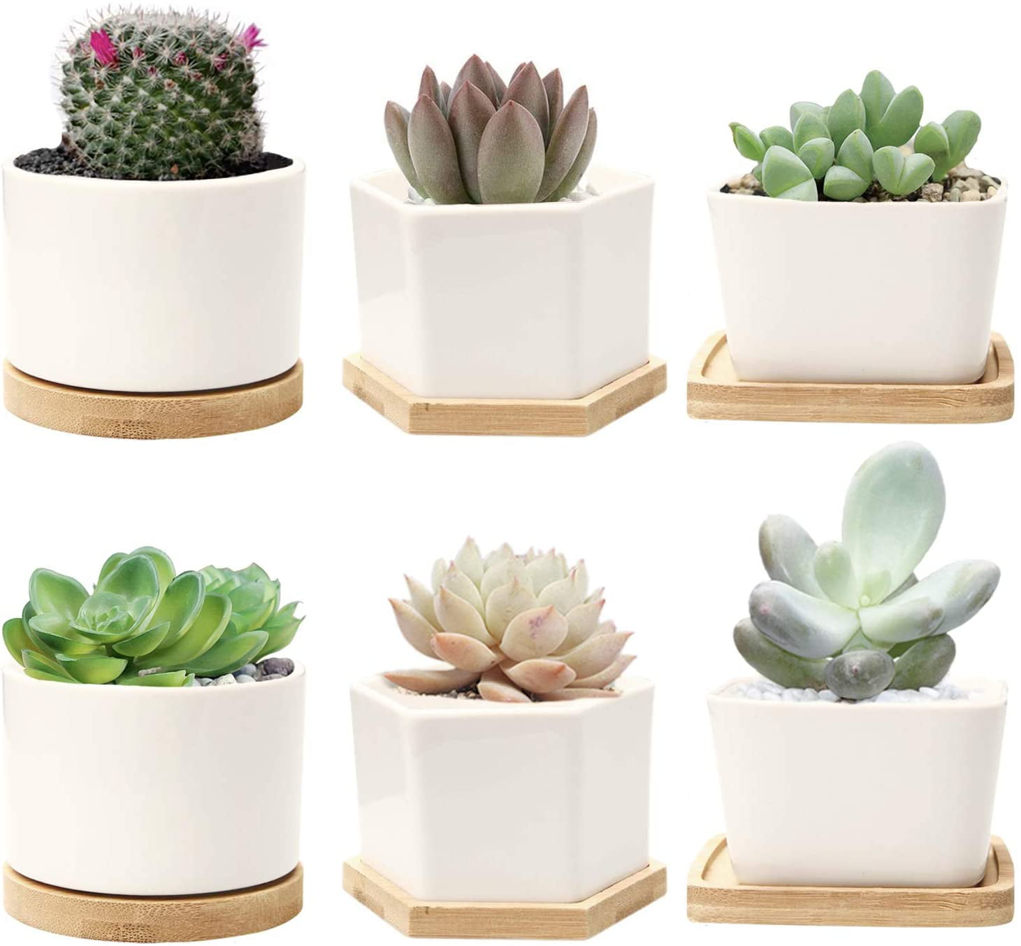 4 Inch Succulent Planters Set of 4 White Ceramic Plant Pots with Bamboo Tray 