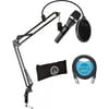 AKG D5 Dynamic Microphone with Blucoil 10-FT XLR Cable and Boom Arm Plus Pop Filter