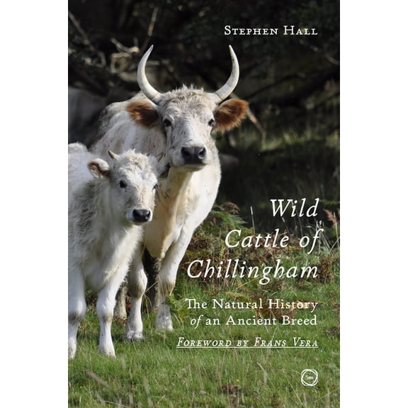Wild Cattle of Chillingham: The Natural History of an Ancient Breed, (Paperback)