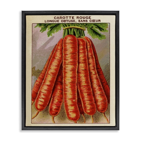 Stupell Industries Country Vintage Carrots Food & Beverage Painting Black Floater Framed Canvas Art Print Wall Art, 17 x 21