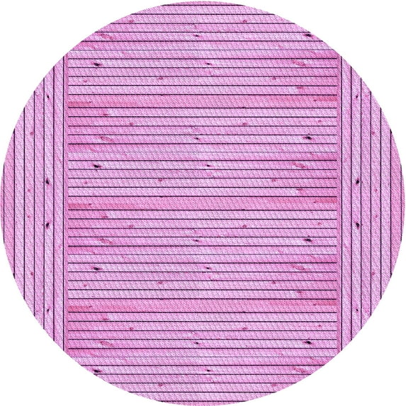 Ahgly Company Indoor Round Patterned Pastel Purple Pink Area Rugs, 8' Round
