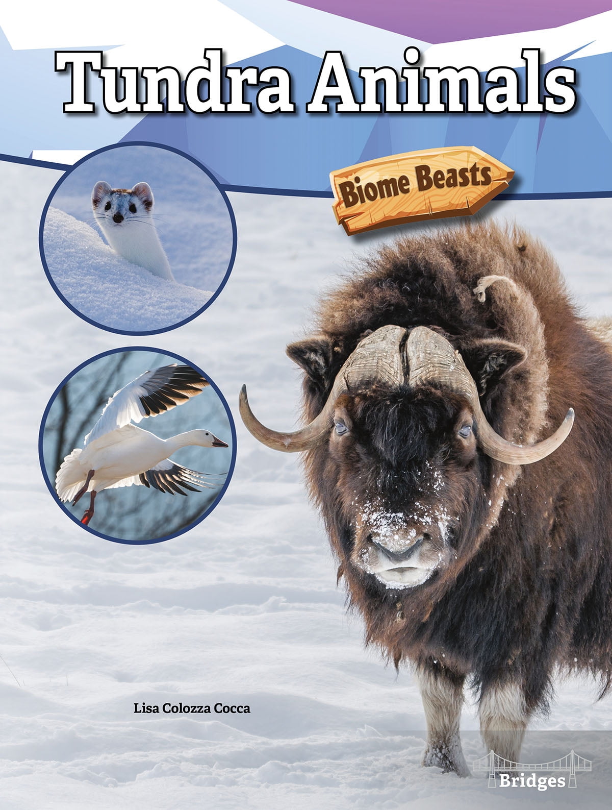 Biome Beasts Tundra Animals Hardcover Walmart Com
