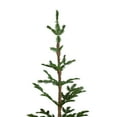 thumbnail image 3 of Northlight Real Touch™ Ponderosa Pine Artificial Christmas Tree with Jute Base- Unlit - 5.25', 3 of 6