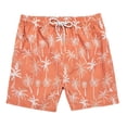 thumbnail image 1 of Aayomet Mens Swimming Trunks With Compression Liner Triangle Mesh Quick Dried Outdoor Summer Beach Pants (Watermelon Red, M), 1 of 5