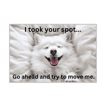 Funny Samoyed Flexible Refrigerator Magnet