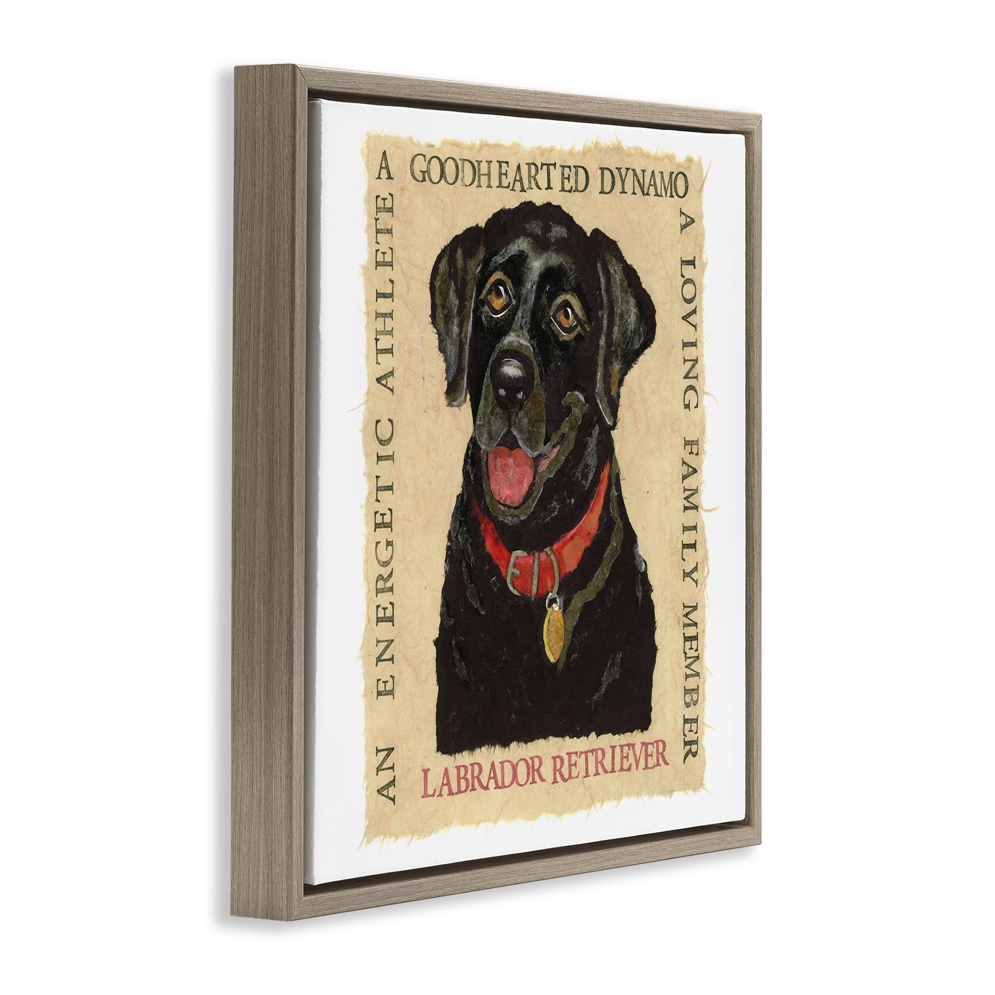 Stupell Industries Fun Black Labrador Phrases Animals Painting Brown Floater Framed Canvas Art Print Wall Art, 25 x 25