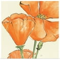 thumbnail image 1 of Great BIG Canvas | Rolled Chris Paschke Poster Print entitled Sunshine Poppy III, 1 of 4