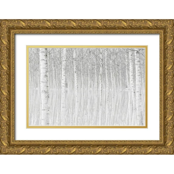 Simone, Aglioni 14x11 Gold Ornate Wood Framed with Double Matting Museum Art Print Titled - Trees