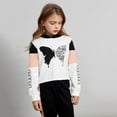 thumbnail image 4 of PatPat Girls Clothes 2 Pieces Butterfly Graphic Pullover Cotton Hoodies Colorblock Crop Tops and Jogger Pants Outfit Set Size 4-12, 4 of 8