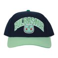 thumbnail image 1 of Pokémon Bulbasaur 001 Blue Brim Snapback Hat, 1 of 5