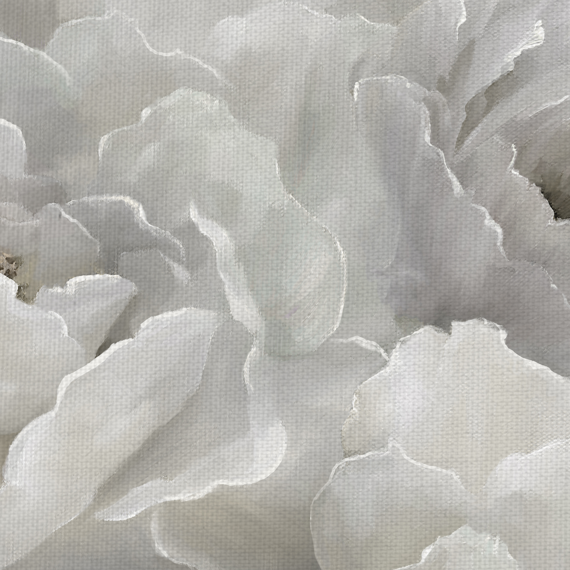 Fine Art Canvas Soft Peony Lace White by Nan Canvas Art Print