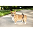 thumbnail image 6 of PetSafe CareLift Rear Support Harness for Pet Mobility & Older Dogs, Small, 6 of 8
